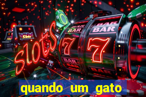 quando um gato aparece do nada significado espiritual